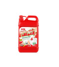 ALEMLAQ LIQUID DISHWASH STRAWBERRY 1800 ML